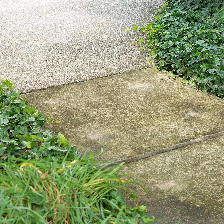 Concrete Sidewalk Leveling - After