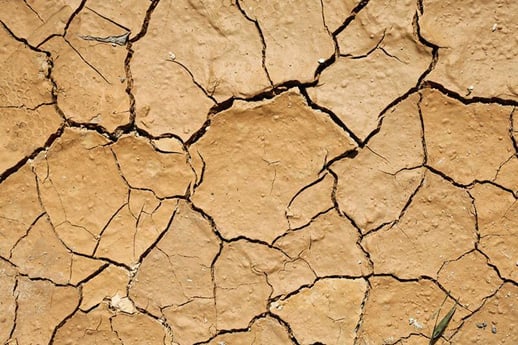 Cracked and dry clay soil