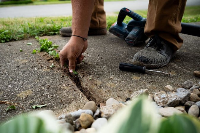 cleaning-sidewalk-joint