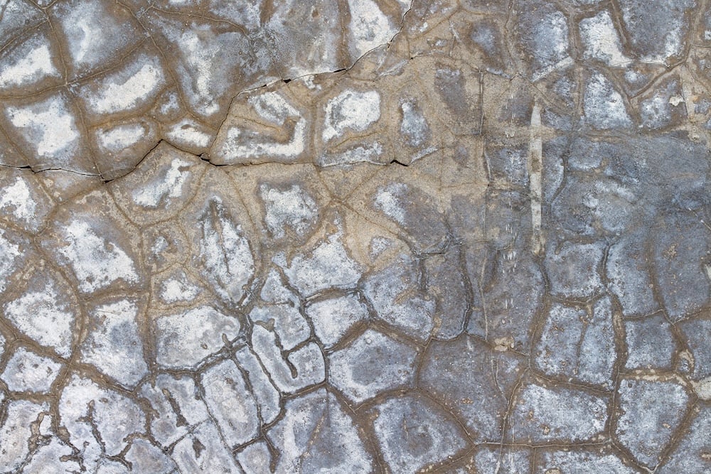 11 Types of Cracks in Concrete + What They Mean [With Pictures]