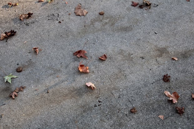 Concrete driveway covered with fall leaves and dark stains due to the leaves