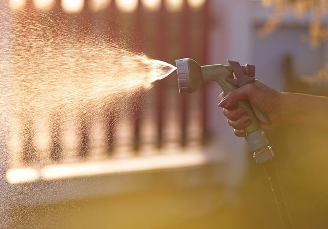 Spray nozzle on garden hose spraying water