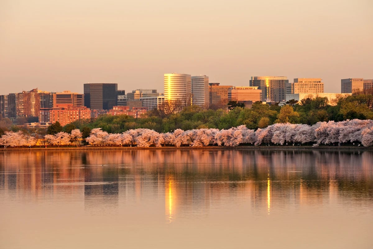 Arlington, VA skyline