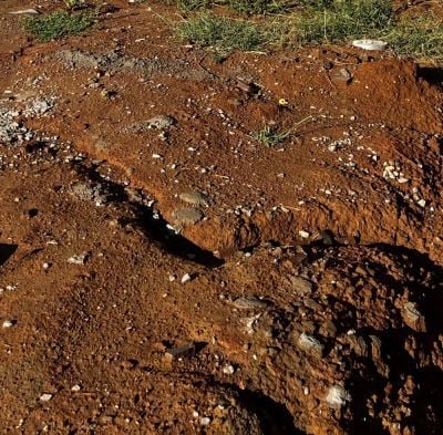 Brown clay soil in Lousiville, KY