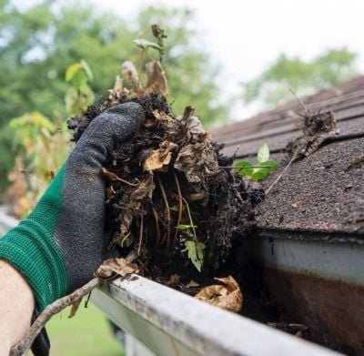Hand holding a large clump of dirt and leaves removed from a gutter
