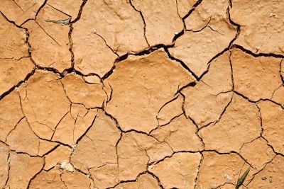 Cracked and dried out clay soil
